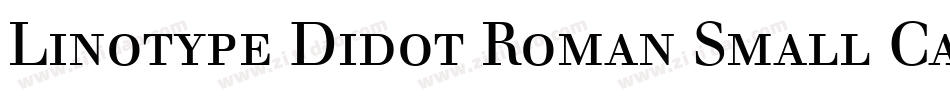 Linotype Didot Roman Small Caps & Oldstyle Figures字体转换